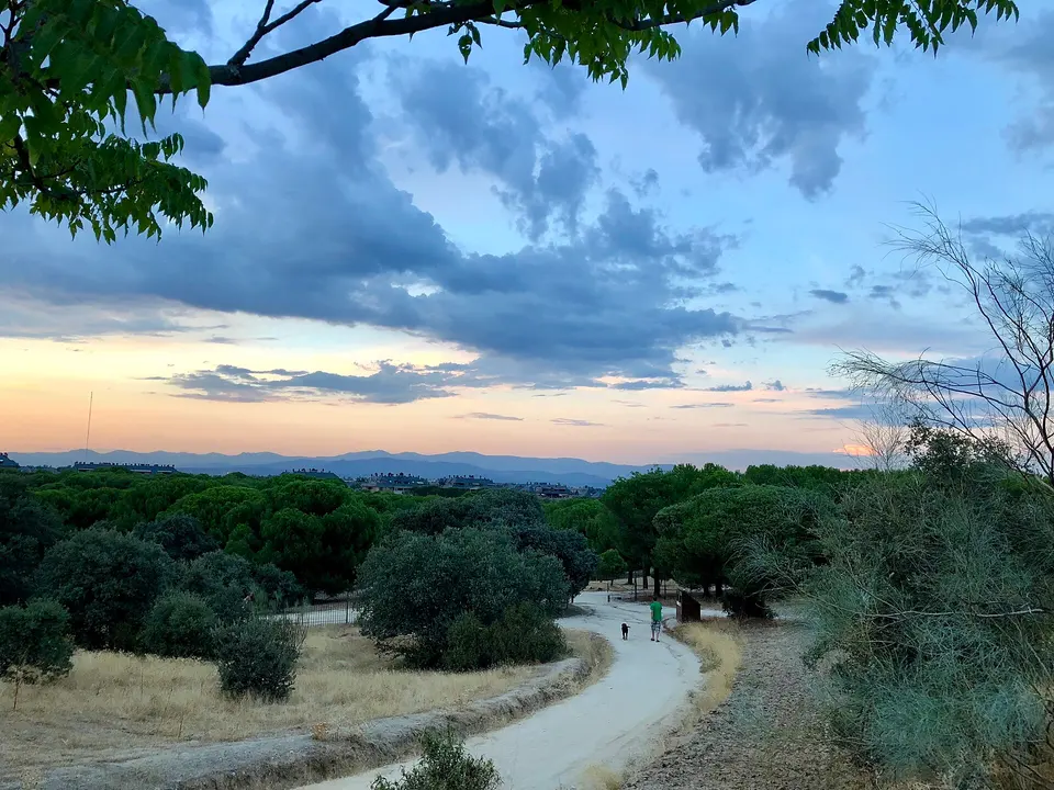 Atardecer y camino en el Monte del Pilar